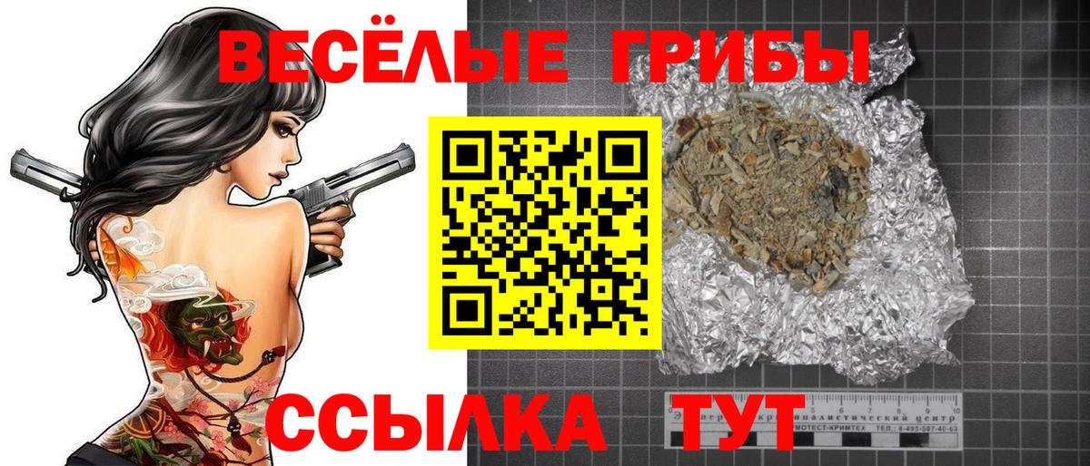 Алексин  Галлюциногенные грибы ЛСД  Вход с VPN 