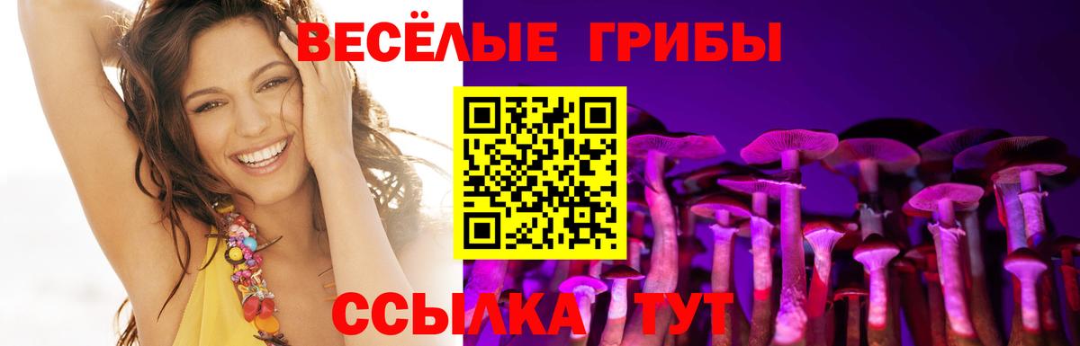 Псилоцибиновые грибы Cubensis Алексин